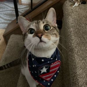 Meet your Posher, Jaime